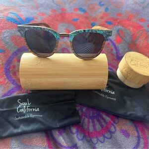 Soul California Sunglasses with Blue and Green Frame beachcomber